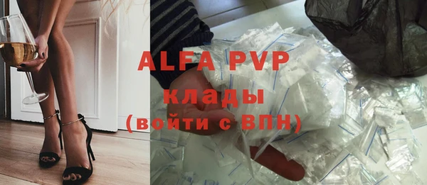 прущие грибы Заводоуковск