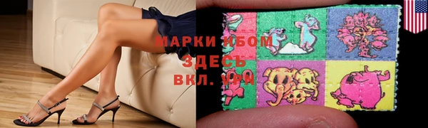 прущие грибы Заводоуковск