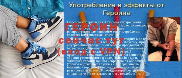 прущие грибы Заводоуковск