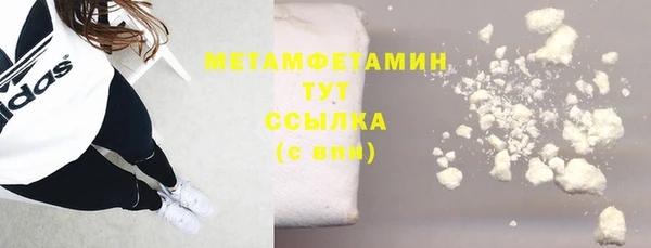 прущие грибы Заводоуковск