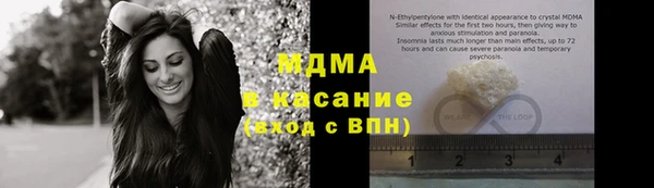 прущие грибы Заводоуковск