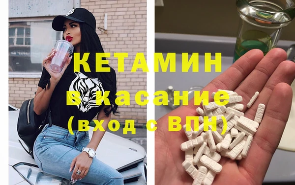прущие грибы Заводоуковск