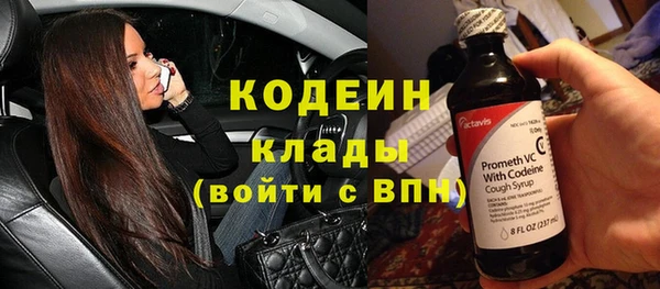 прущие грибы Заводоуковск