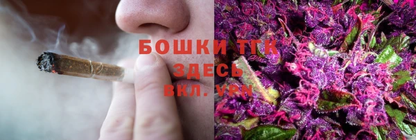 прущие грибы Заводоуковск