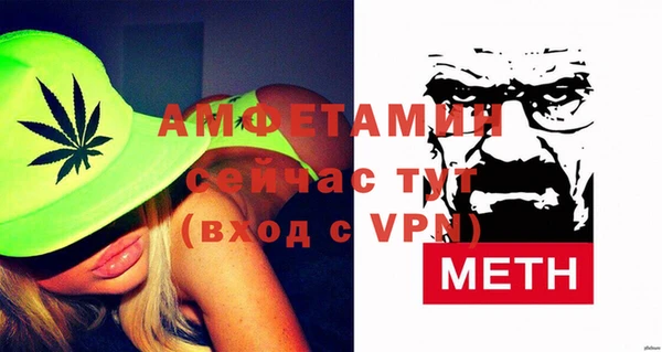 прущие грибы Заводоуковск